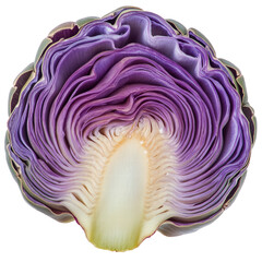 Obraz premium Isolated purple artichoke half