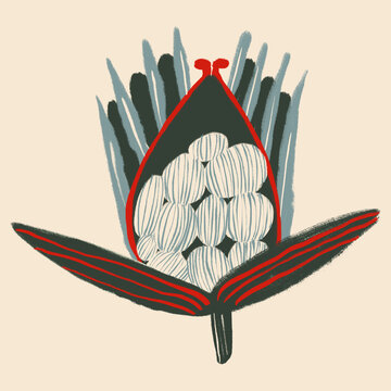 Stylized artistic illustration of a protea flower