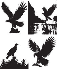 eagle, eagle silhouette, eagle vector