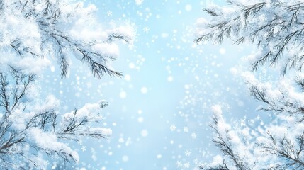 Obraz premium Nature Winter Background: Snow-Covered Tree Branches Creating a Serene and Frosty Landscape.