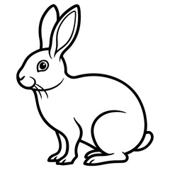 rabbit isolated on white