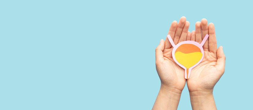Hands holding bladder organ shape made from paper on light blue background. Awareness of bladder cancer, urinary tract infection, urinary incontinence and overactive bladder.