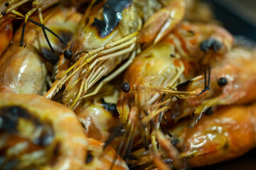 close up of raw shrimp