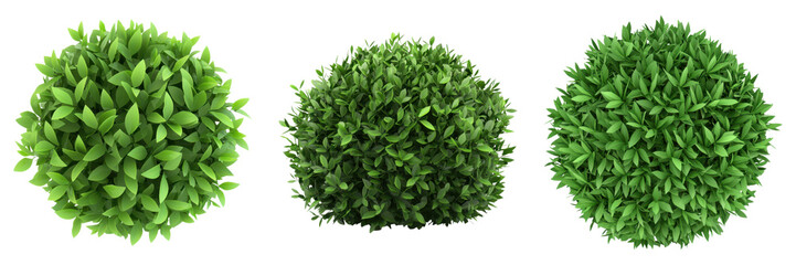 Obraz premium Vibrant green low poly bushes with rounded geometric shapes on transparent background