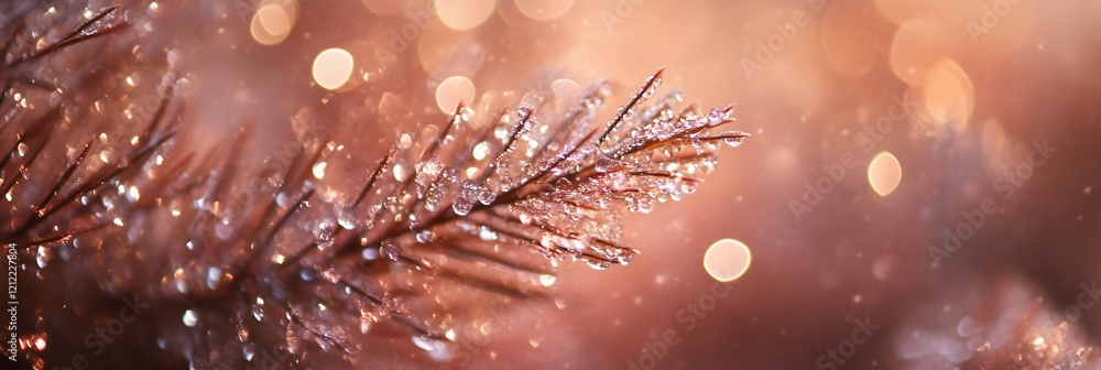 Poster Close-up of an ice-covered pine branch with bokeh background.