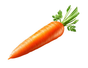 Bright orange carrot with green leaves ready for harvest in a garden setting in daylight on transparent background