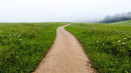 Fog in Nature Themed, dirt path winding through foggy field with lush greenery and flowers