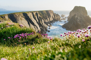 Scheildren, most iconic landscape at Malin Head, Ireland's northernmost point, Wild Atlantic Way,...