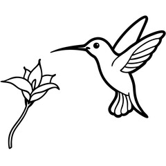 hummingbird and flower