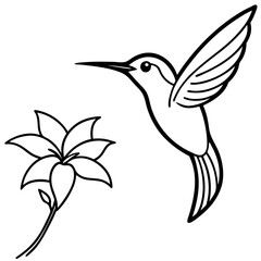 hummingbird and flower