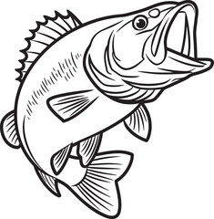Bass fish vector illustration sketch of largemouth perch fish