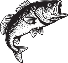 Bass fish vector illustration sketch of largemouth perch fish