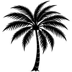 palm tree silhouette