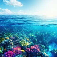 Fototapeta premium A vibrant underwater scene showcasing colorful coral reefs beneath a clear blue ocean, illuminated by sunlight.