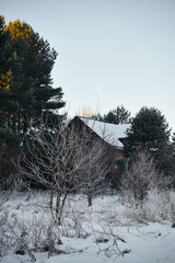 zima,łąka,księżyc  © Marcin Łazarczyk