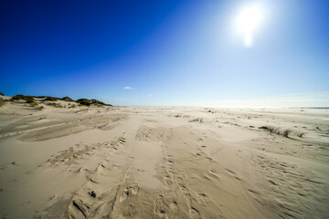View of the dunes on the North Frisian island of Amrum. Landscape in the north. Nature on the North Sea island.
