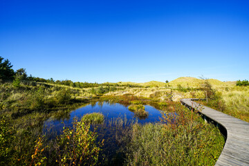 View of the landscape and a body of water on the North Frisian island of Amrum. Nature in the dunes.  © Elly Miller