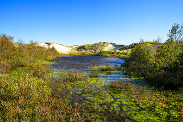 View of the landscape and a body of water on the North Frisian island of Amrum. Nature in the dunes.
