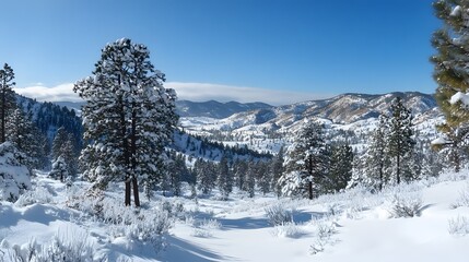 Fototapeta premium Snow Covered Mountain Landscape With Pine Trees