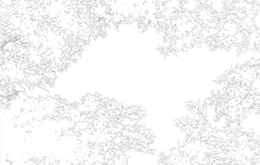 Frame with copy space, contour of deciduous branches of trees. Vector illustration © nosyrevy