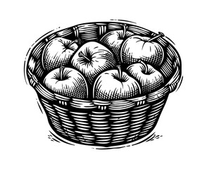 Fototapeta premium wooden basket apples engraving black and white outline