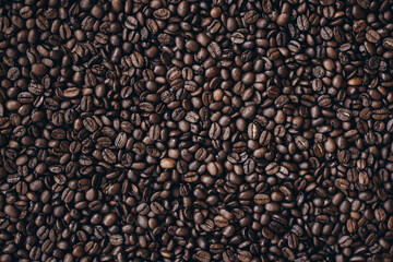 coffee beans close up, coffee beans