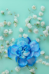 Tło kwiatowe w odcieniach błękitu, kwiaty w wodzie, okładka. © Elżbieta Kaps