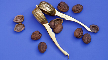 Ein goldener Nussknacker auf blau Grund, Wallnüsse.