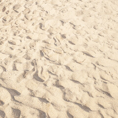 Summer beach sand background with natural wave pattern. Sand texture. Sunny gold sandy beach.