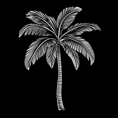 Elegant black and white palm tree graphic design for print or digital use