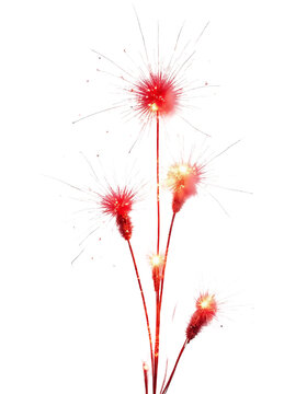  red firecracker garland is slowly exploding on a white background