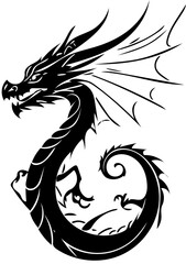 Black and white dragon design