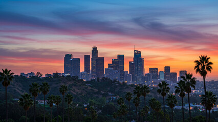 Obraz premium In the foreground, palm trees enhance the view of the Los Angeles skyline