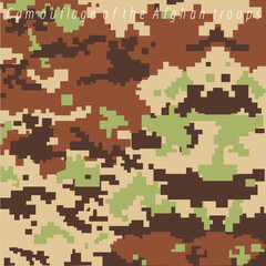 Afghan troops. Professional army pixel camouflage of Afghanistan. Professional army of the country.