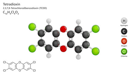 Molecule: Dioxin or TCDD. Molecular structure. Formula: C12H4Cl4O2. Chemical model: Ball and stick. White background. 3D illustration.