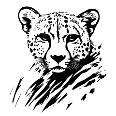 Cheetah portrait, black and white, wildlife, detailed, strong animal