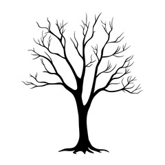 Fototapeta premium Silhouetted bare winter tree, isolated white background. Possible use for illustration, education, or design