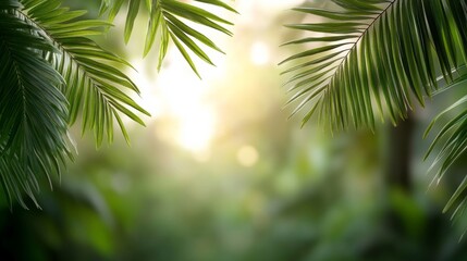 Naklejka premium Tropical Paradise: Lush green palm fronds frame a sun-drenched backdrop, creating a vibrant and tranquil scene evocative of a tropical getaway. 
