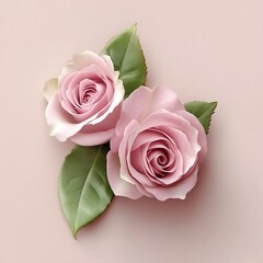 Fototapeta premium Elegant pink roses blooming with natural beauty.