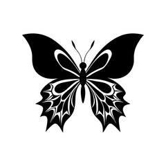 Obraz premium butterfly design vector and illustration