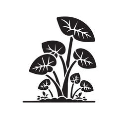 Colocasia Esculenta Icon Silhouette Vector Art & Illustration