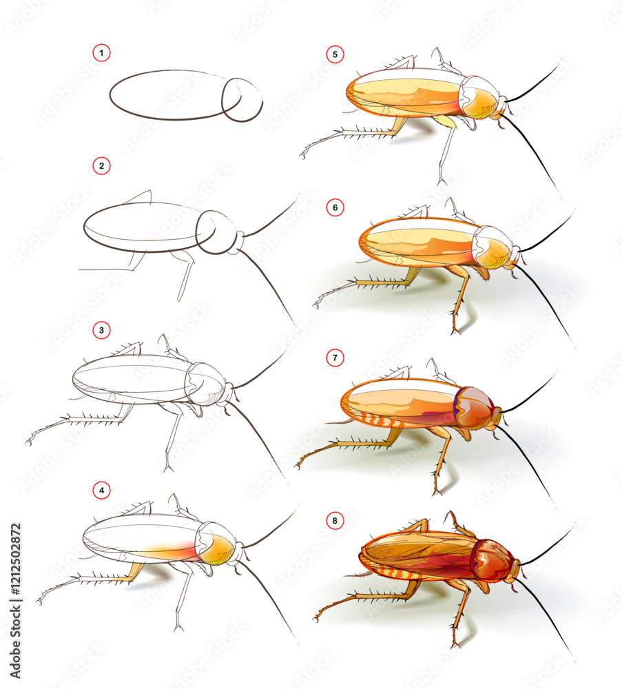 Wall mural how to learn to draw sketch of a cockroach. creation step by step watercolor painting. educational p