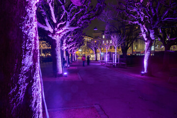 Beleuchtete Bäume in derf Stadt Luzern, Schweiz