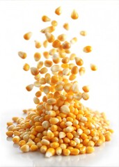 pile of dry corn seeds on white background.