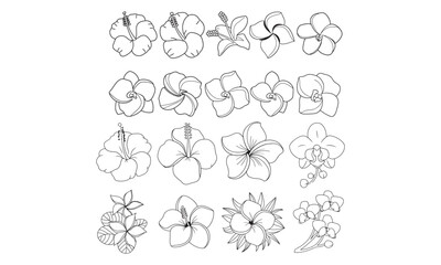 Tropical Flower Line Art Collection - Hibiscus, Plumeria, and Orchid Vector Set