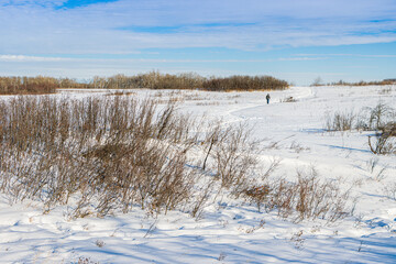 Cranberry Flats Nature Conservatory and Hiking Trail near Saskatoon, Saskatchewan, Canada on a...
