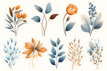 Obraz premium Drawn spring flower pack