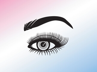 Beautiful female eye and lash vector illustration
