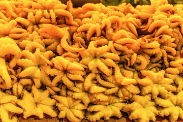 Octopus Harvested from Fishing: Fresh Seafood Delight.