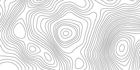 Abstract topographic contours map background, Vector contour topographic map background. Topography and geography map grid abstract backdrop, Modern design with White background.